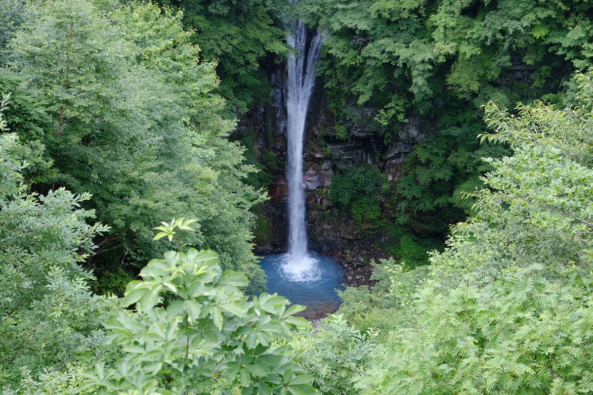 【夏休み】行ったつもりで北海道みやげ『竹根に佇む竹製のオジロワシ』☆超絶技巧☆ ちいかわ | #ちいかわ | Instagram