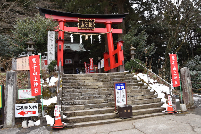 不苦労（ふくろう）ツアー